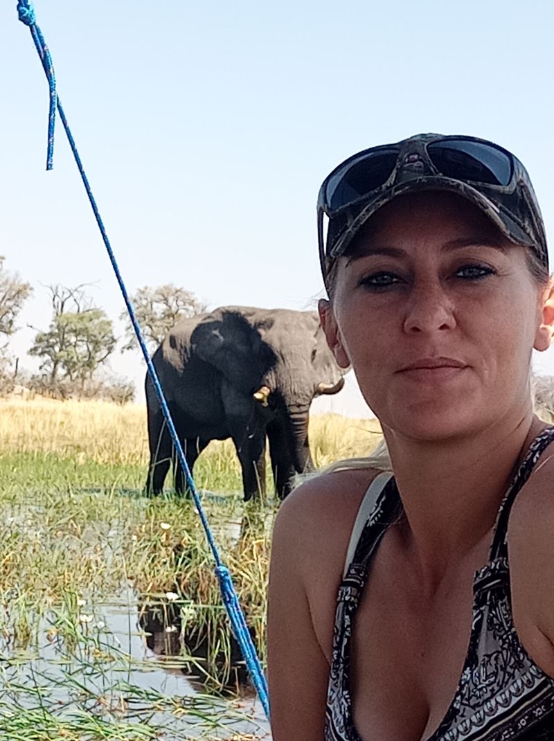 laglyfie721 laglyfie721